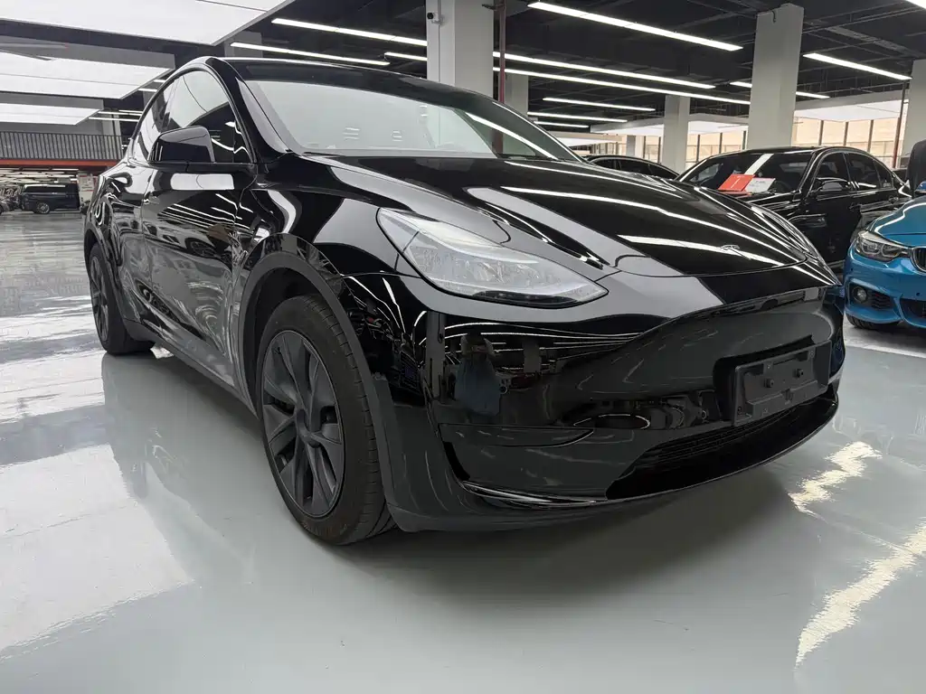 Tesla Model Y — фото 3