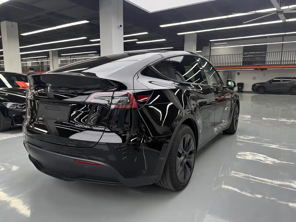 Tesla Model Y — фото 23