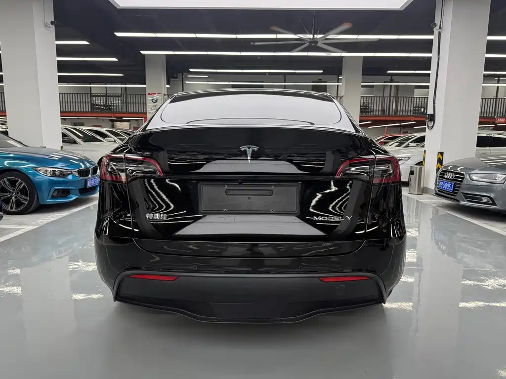 Tesla Model Y — фото 24