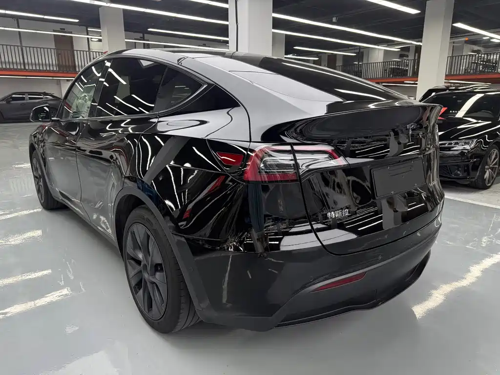 Tesla Model Y — фото 25