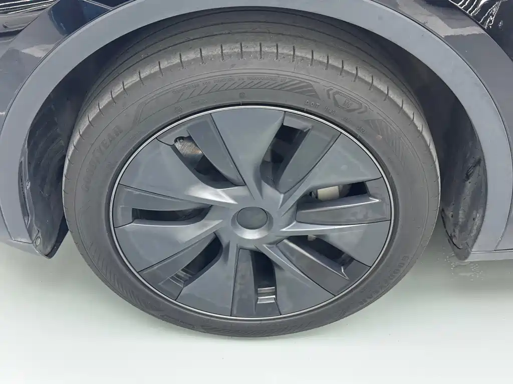 Tesla Model Y — фото 28
