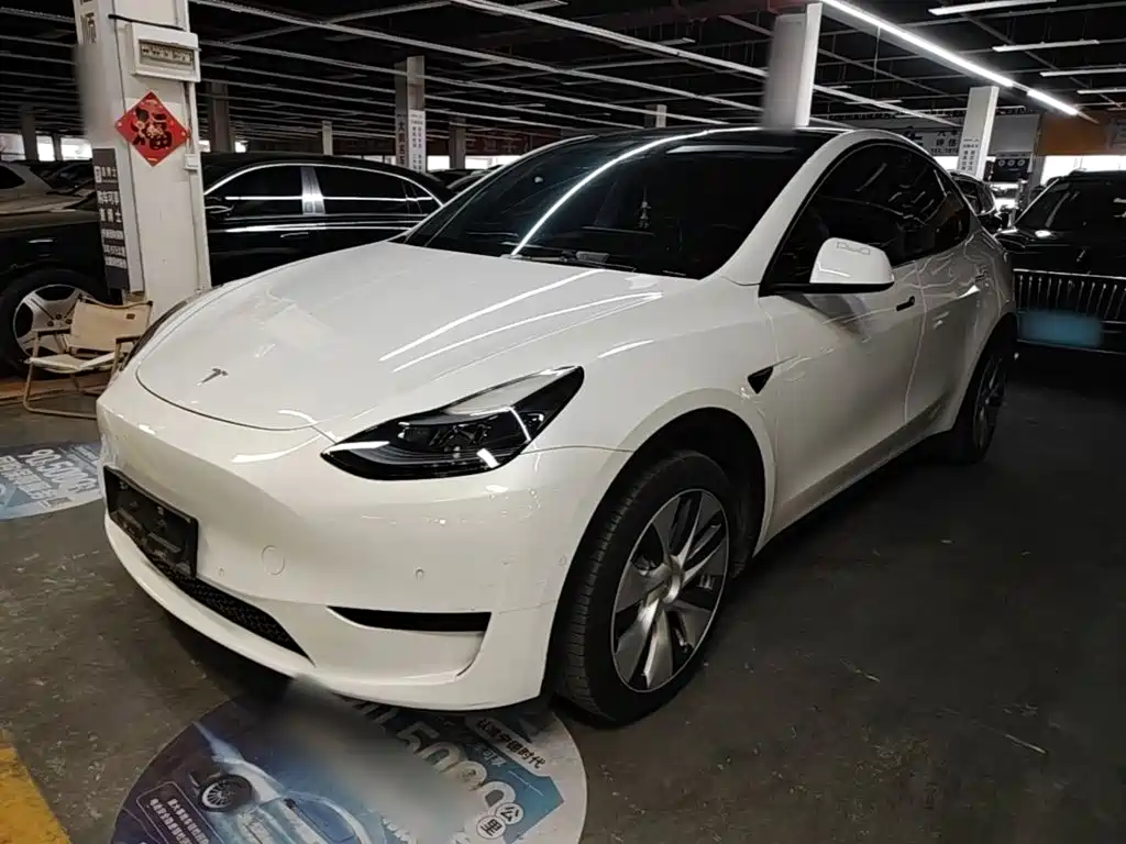 Tesla Model Y — фото 2
