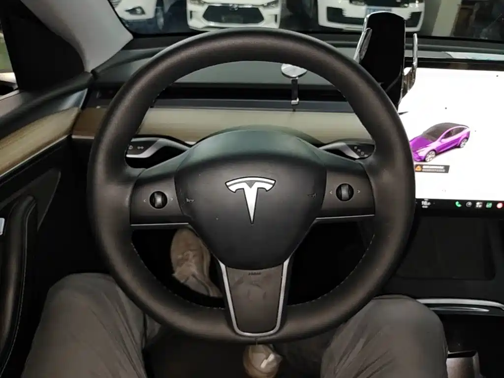 Tesla Model Y — фото 11