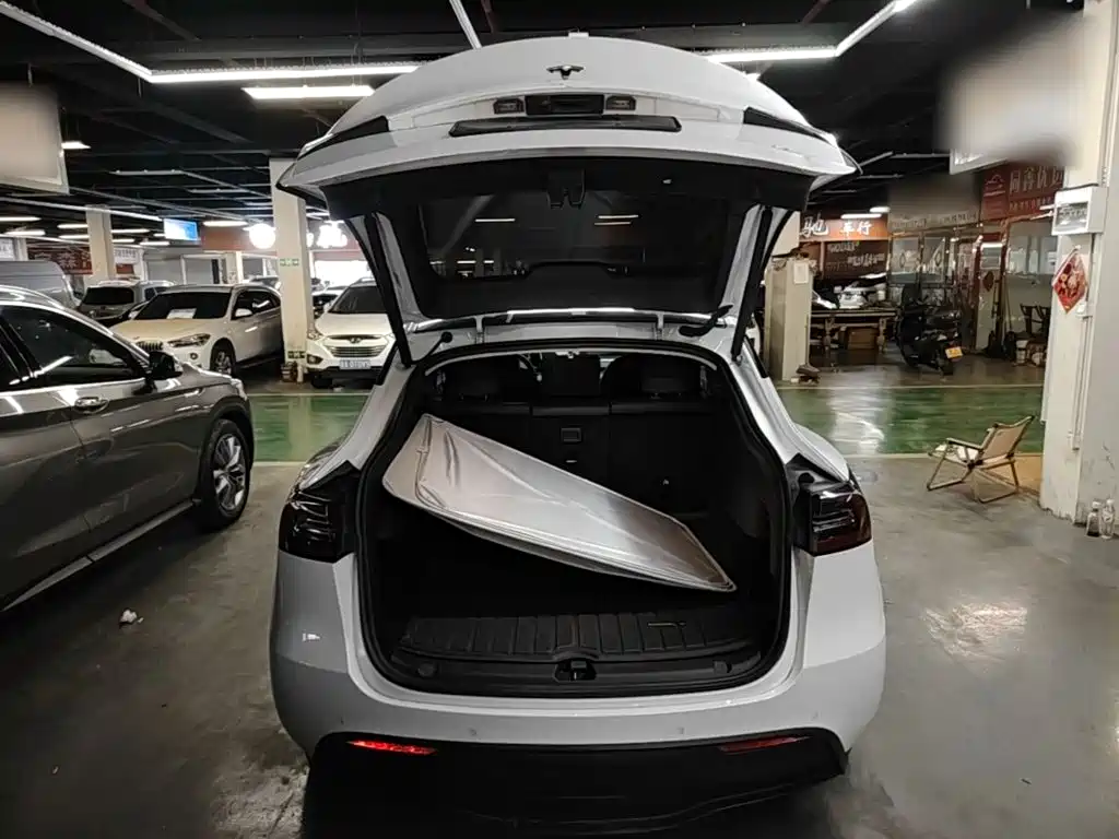 Tesla Model Y — фото 19