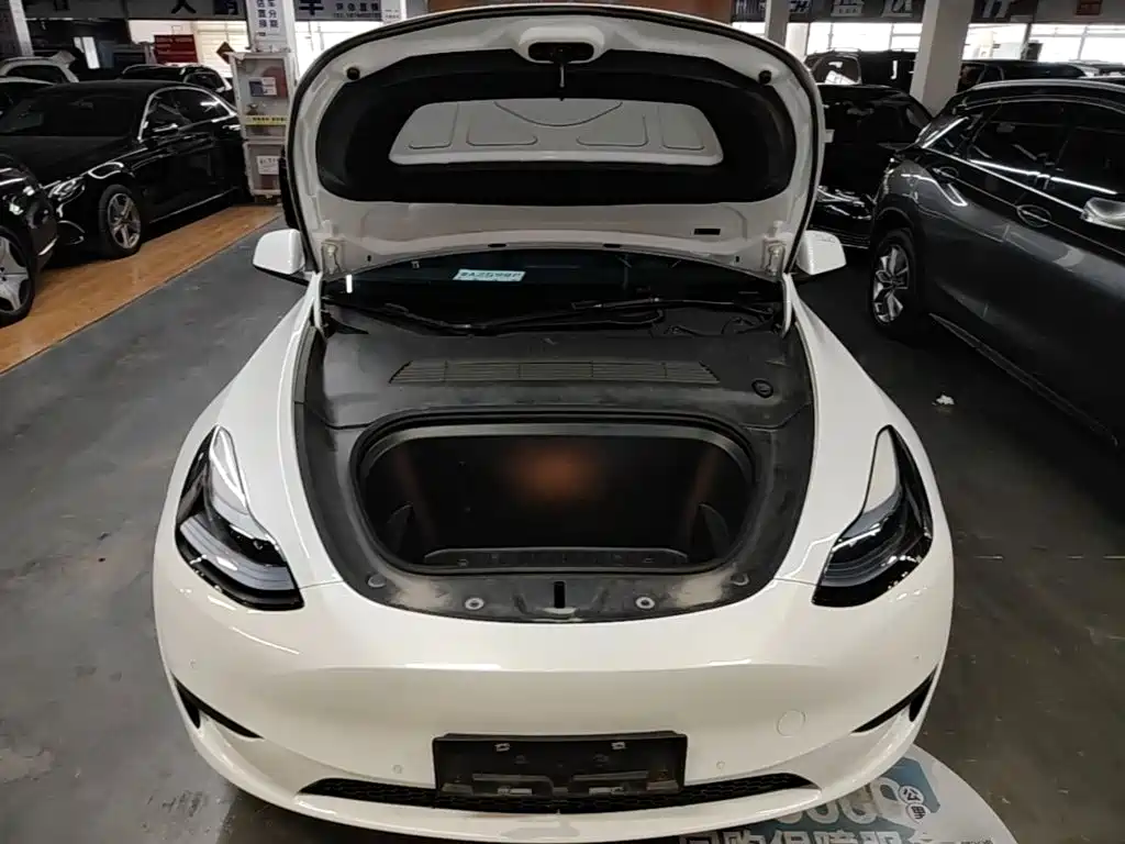 Tesla Model Y — фото 20