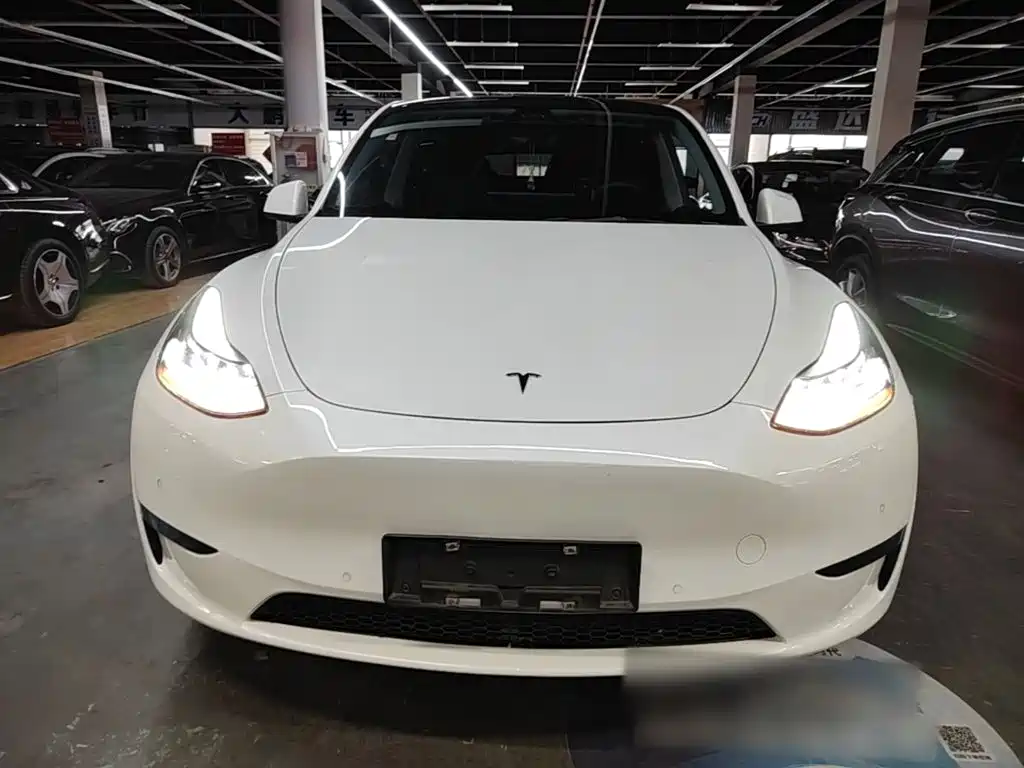Tesla Model Y — фото 3