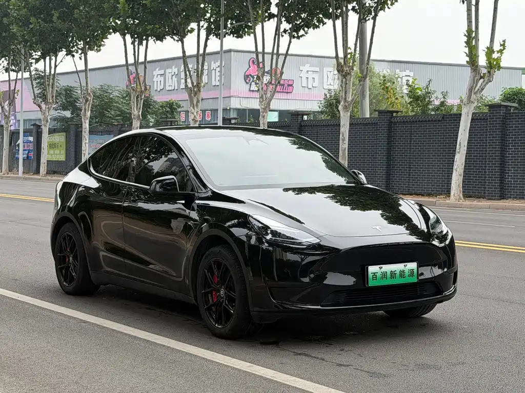 Tesla Model Y — фото 2