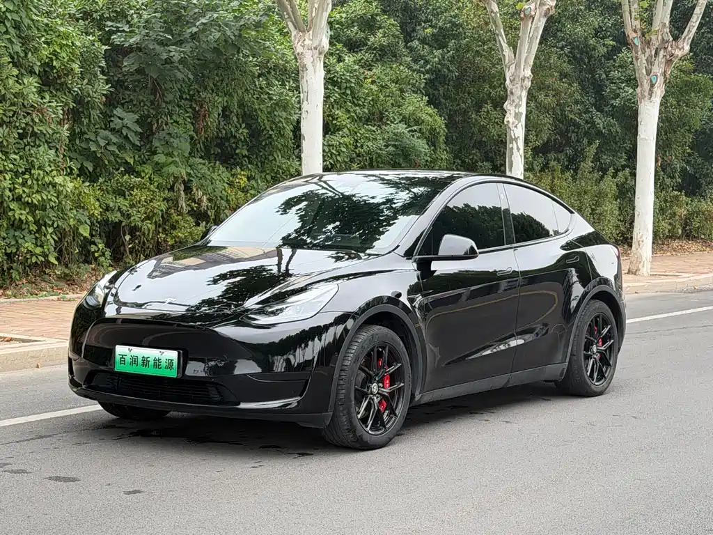 Tesla Model Y — фото 3