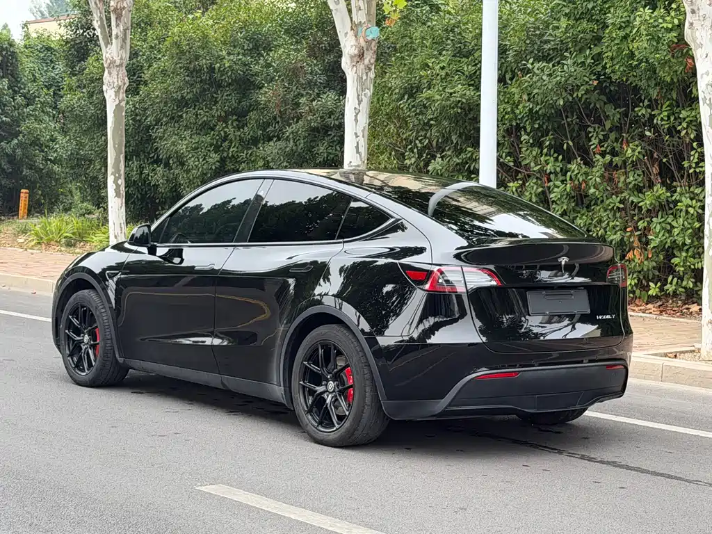 Tesla Model Y — фото 5