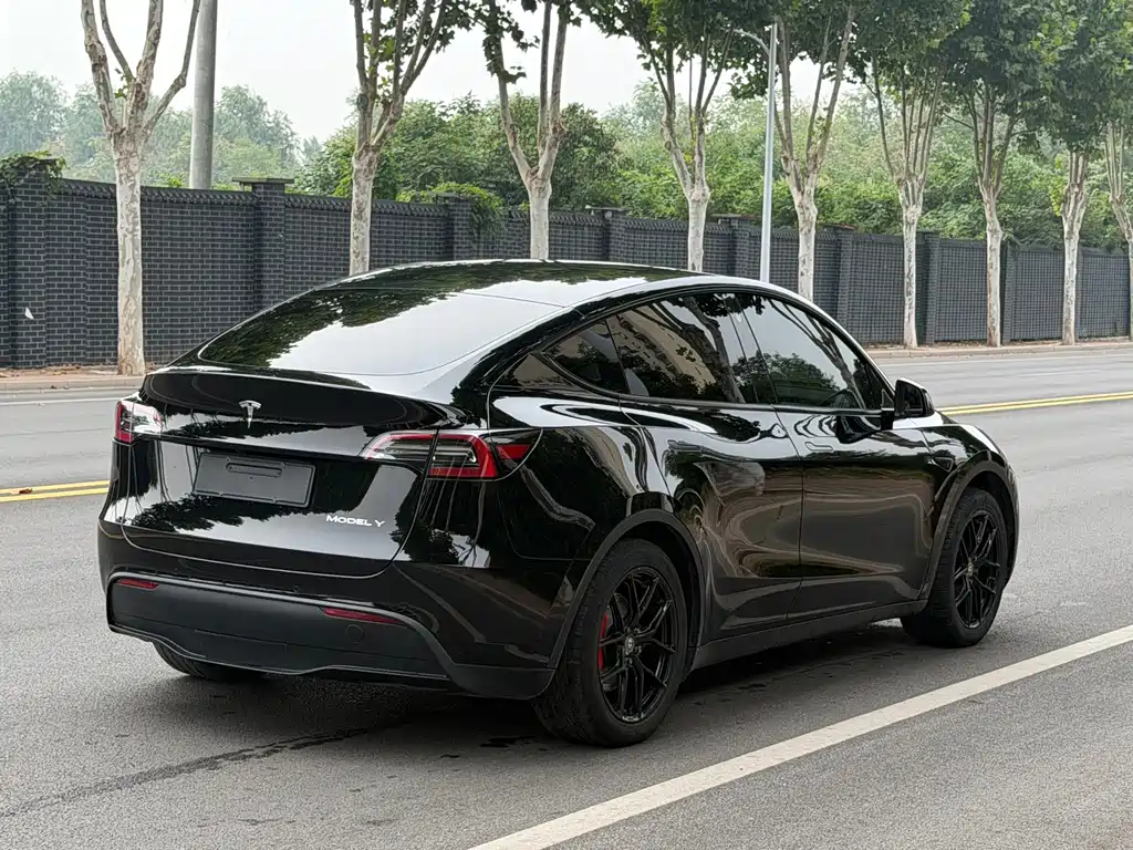 Tesla Model Y — фото 6