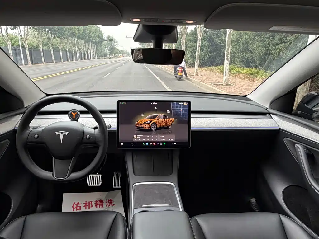 Tesla Model Y — фото 9