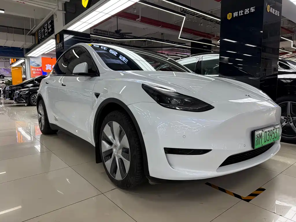 Tesla Model Y — фото 2