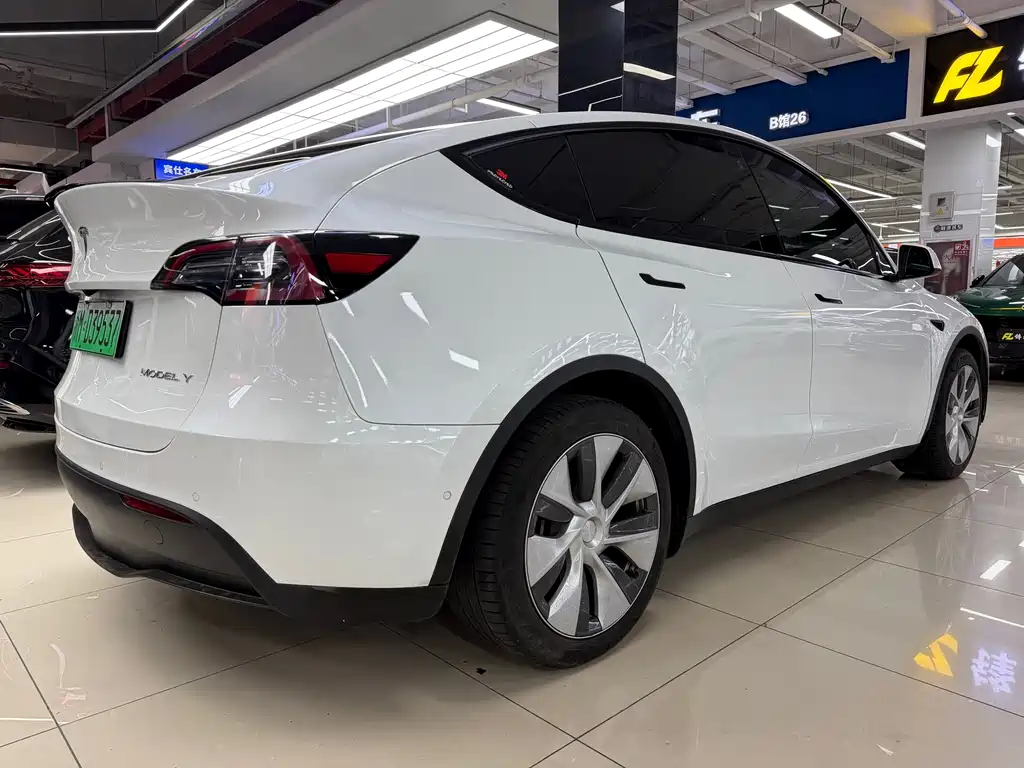 Tesla Model Y — фото 6