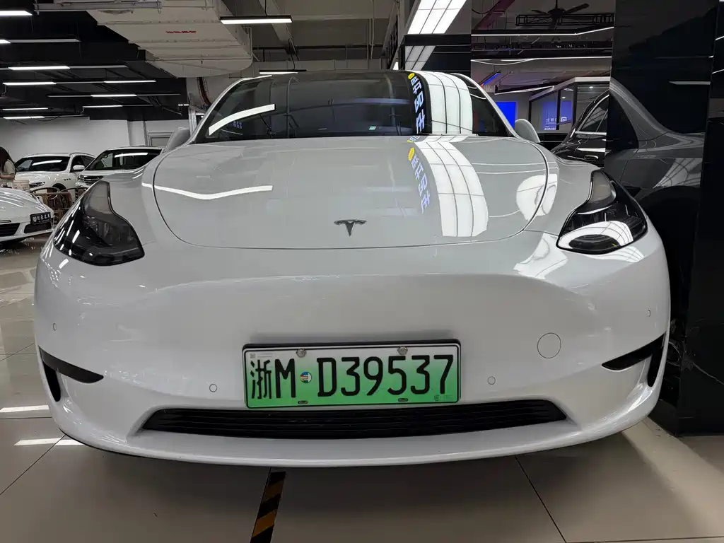 Tesla Model Y — фото 1