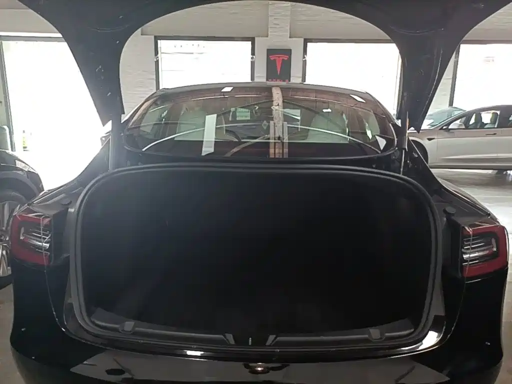 Tesla Model 3 — фото 19