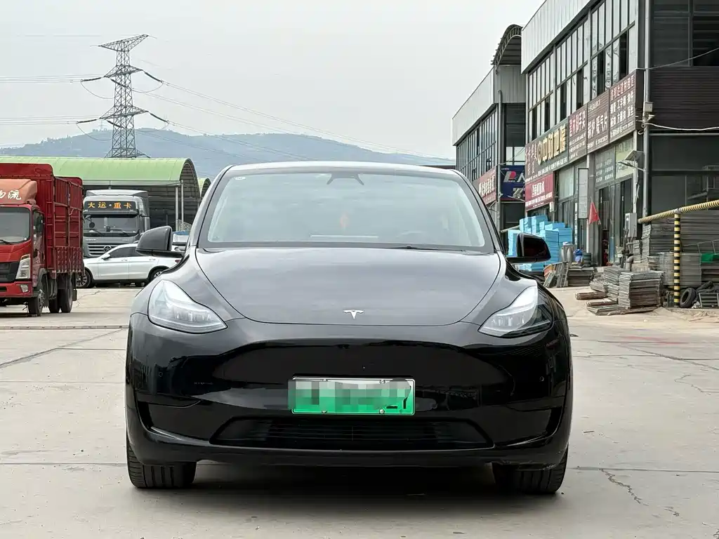 Tesla Model Y — фото 2