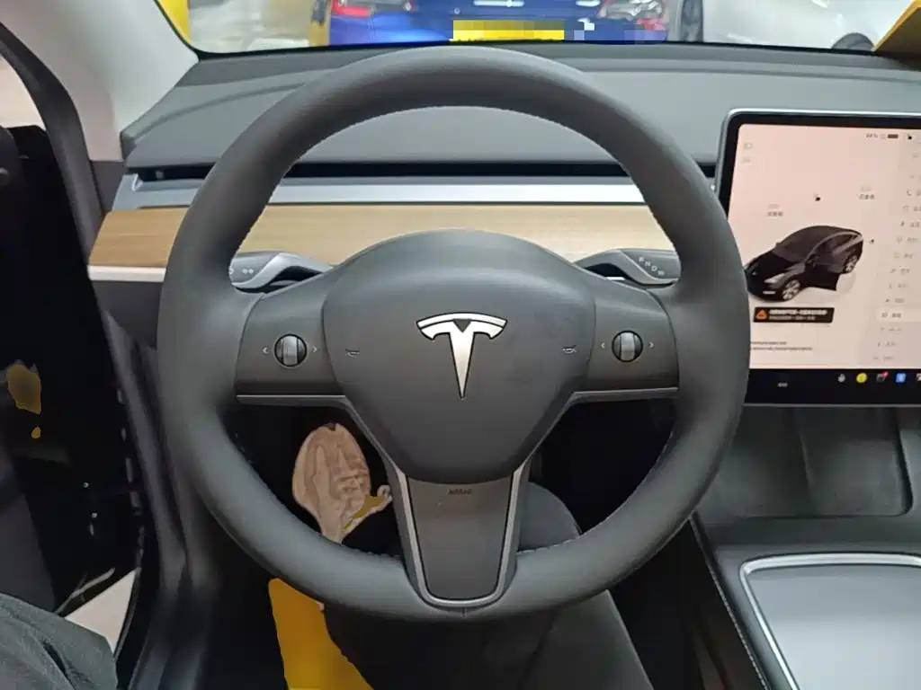 Tesla Model Y — фото 11