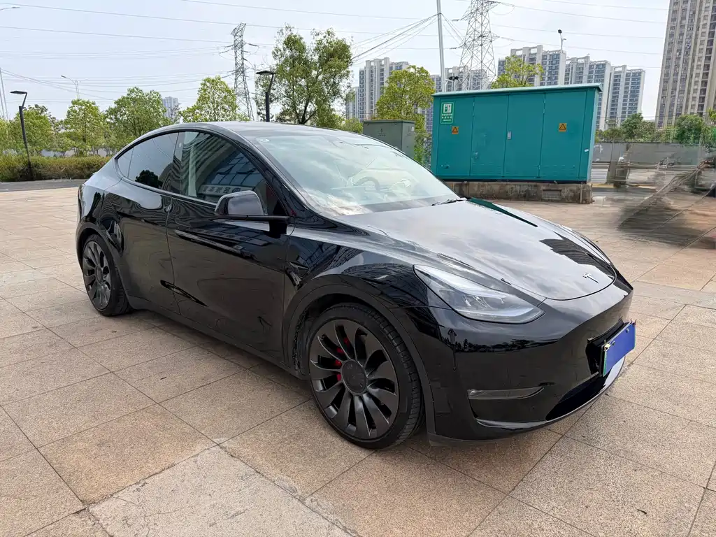 Tesla Model Y — фото 3