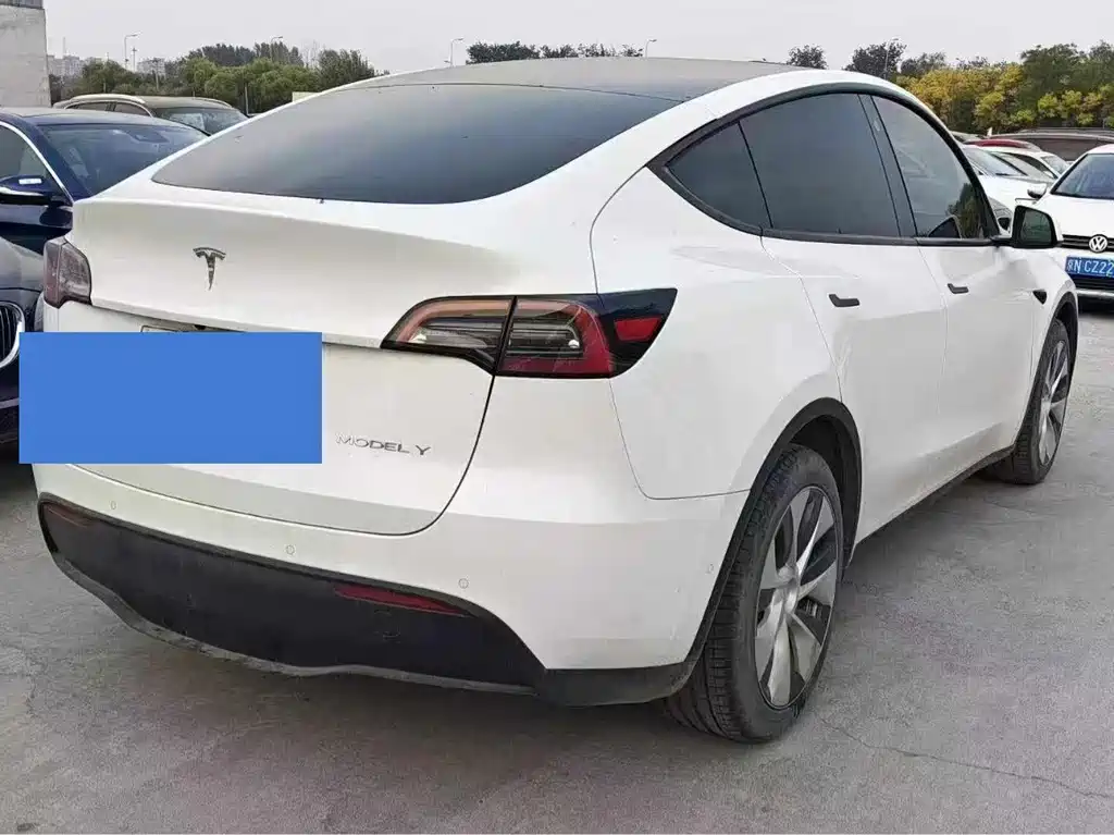 Tesla Model Y — фото 3