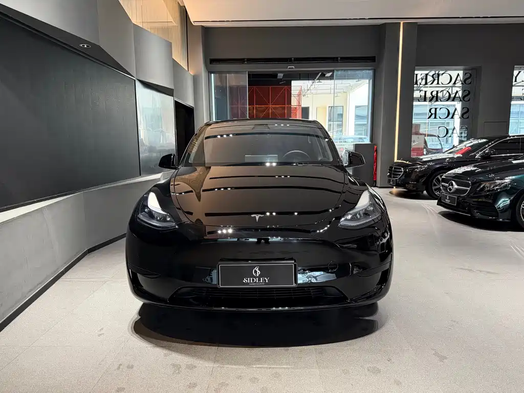 Tesla Model Y — фото 2