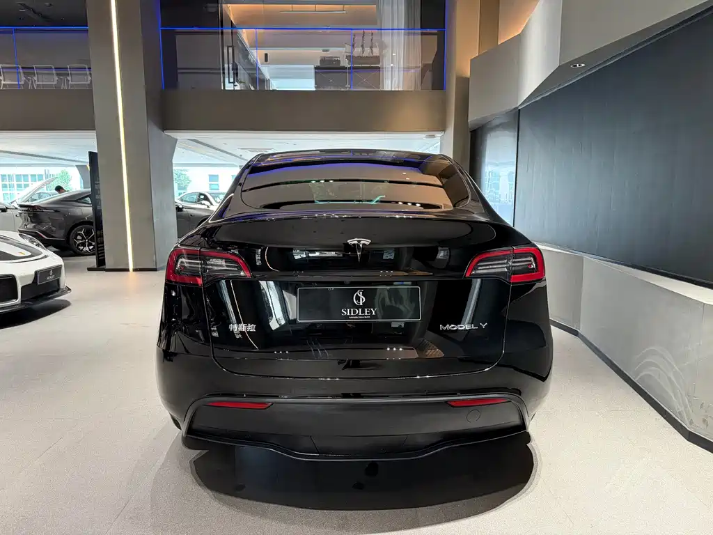 Tesla Model Y — фото 5