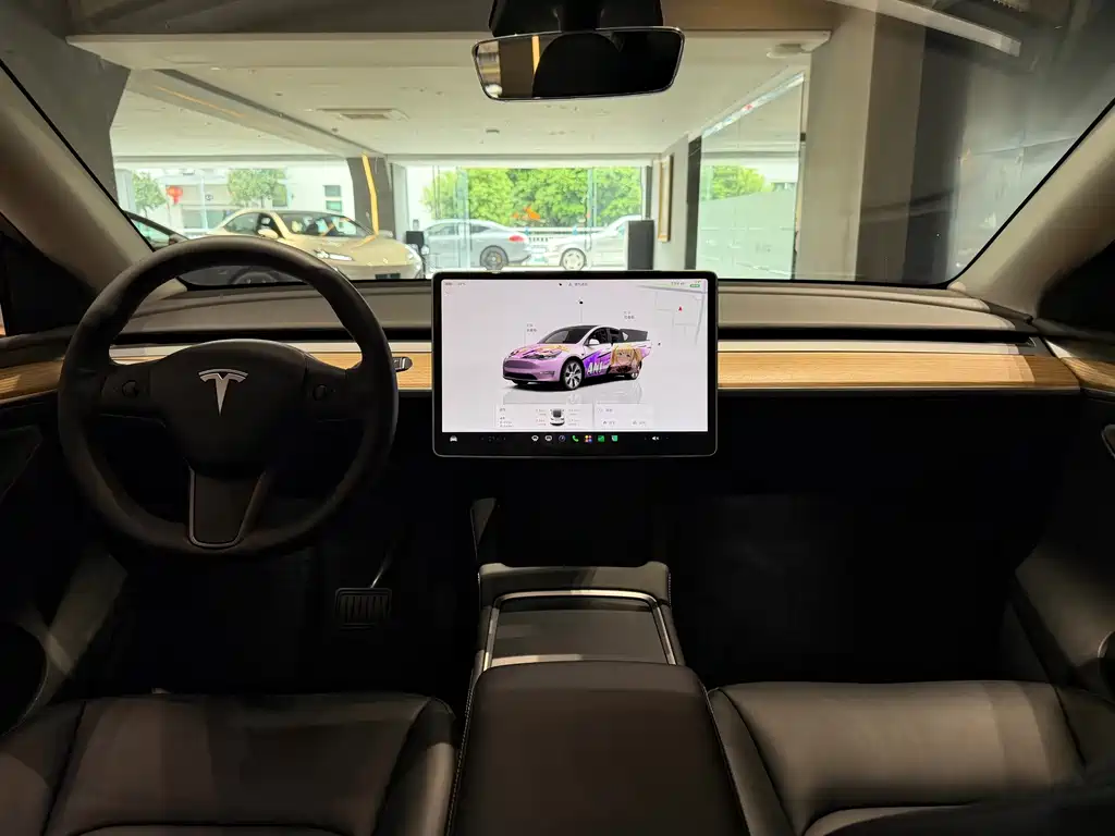 Tesla Model Y — фото 10