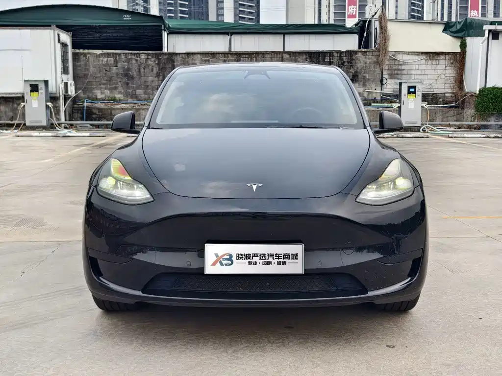 Tesla Model Y — фото 2