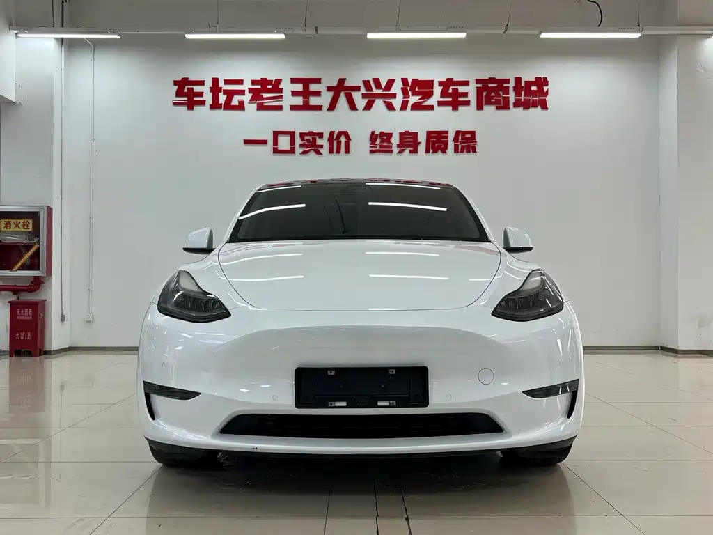 Tesla Model Y — фото 2