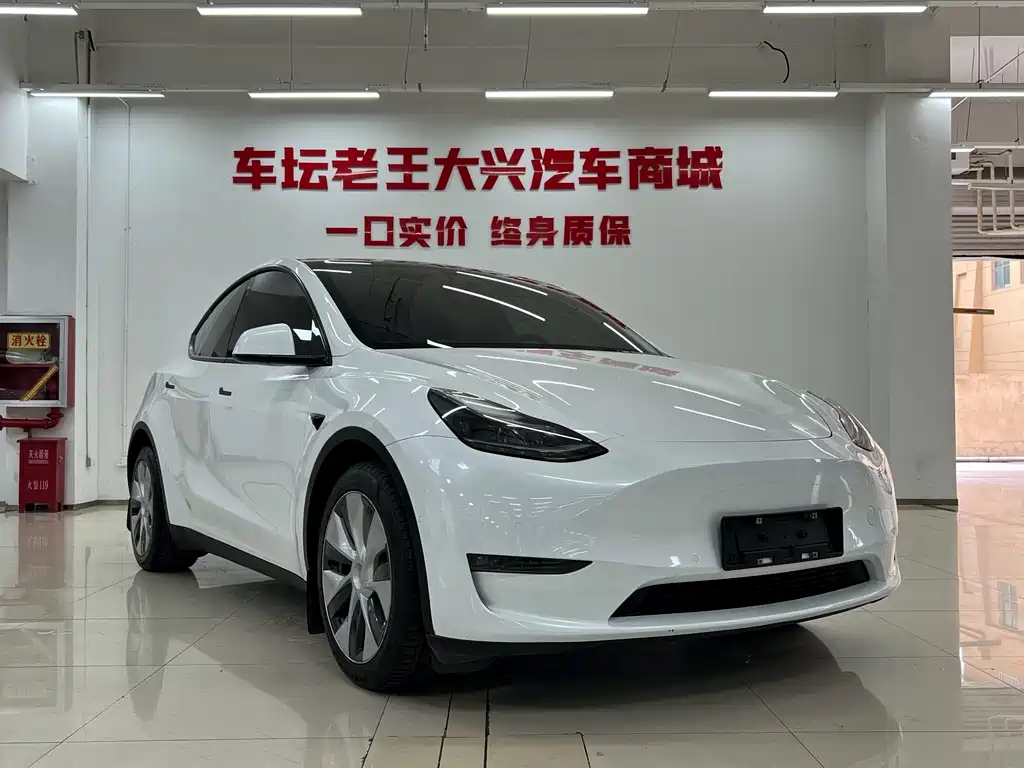 Tesla Model Y — фото 3