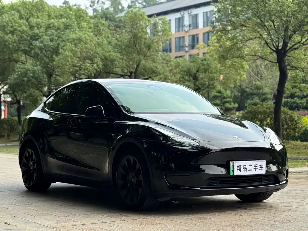 Tesla Model Y — фото 3