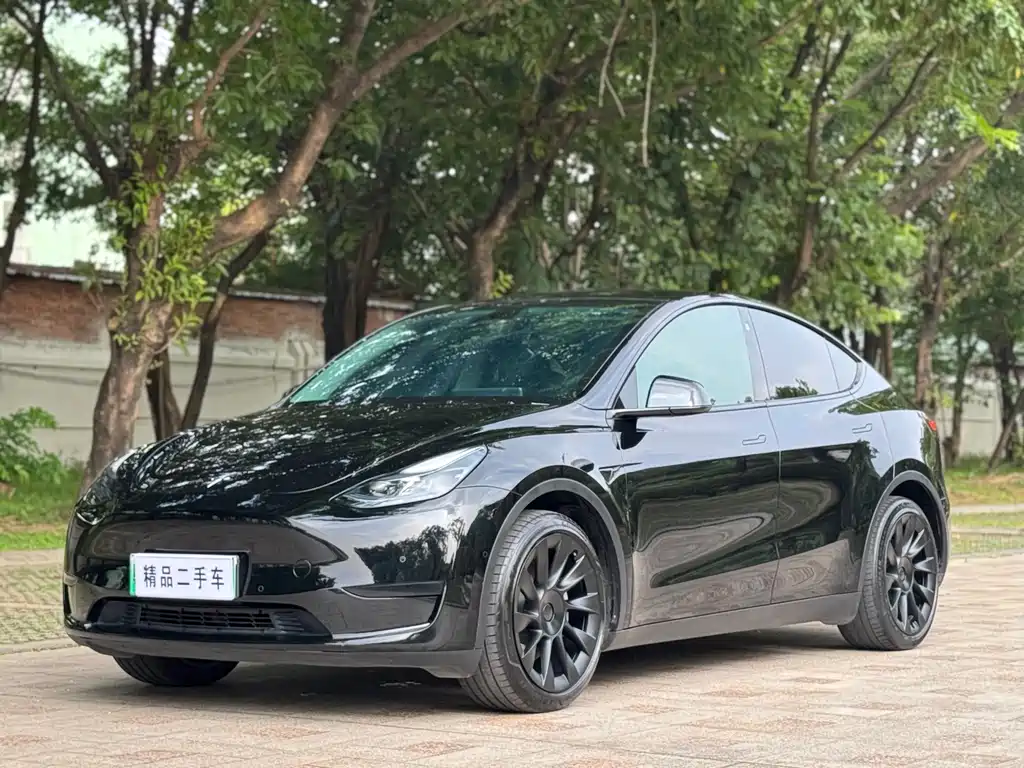 Tesla Model Y — фото 4