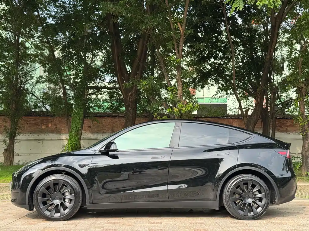 Tesla Model Y — фото 5