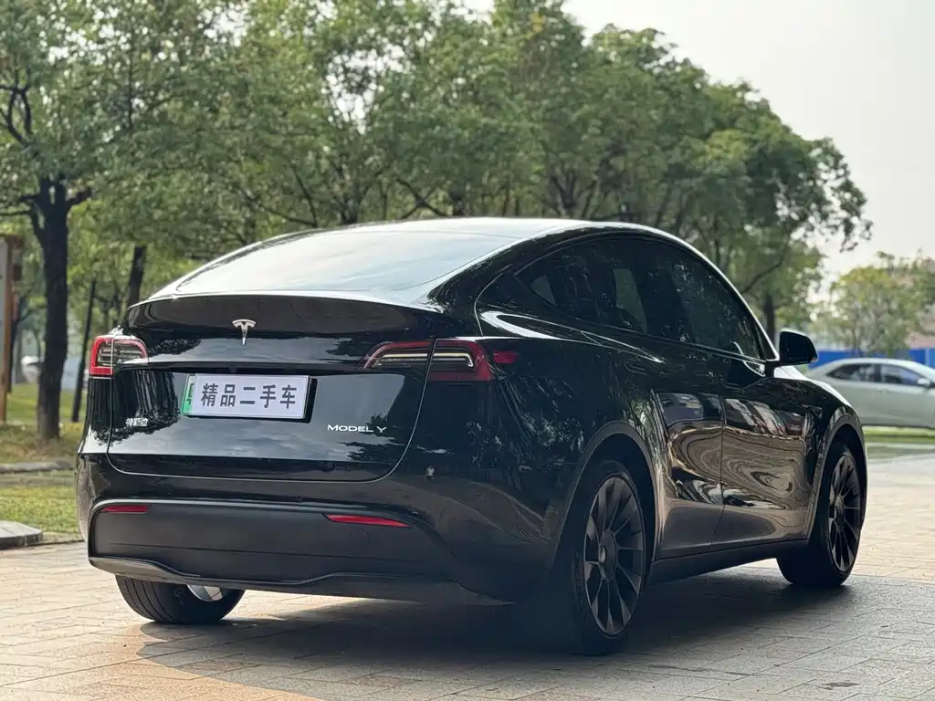 Tesla Model Y — фото 8