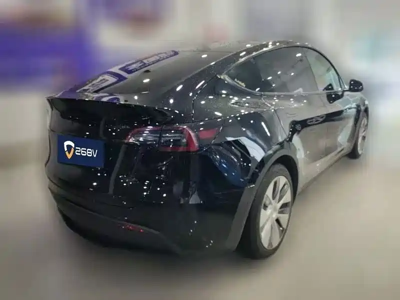 Tesla Model Y — фото 2