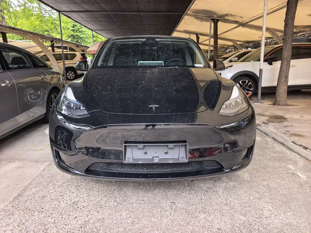 Tesla Model Y — фото 2