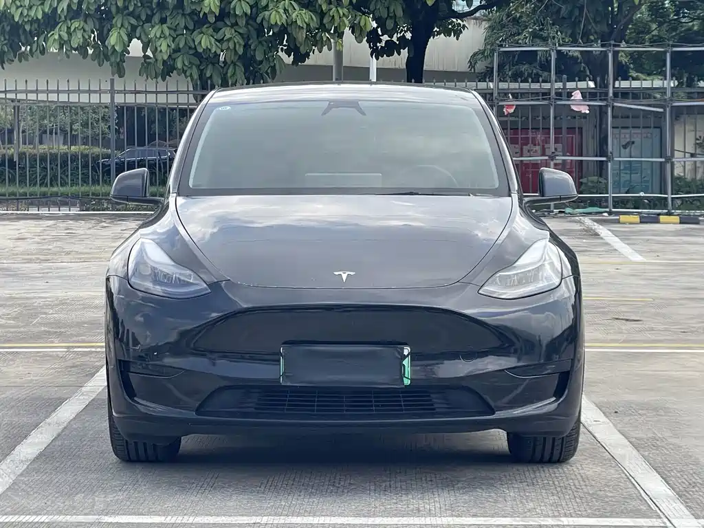 Tesla Model Y — фото 2