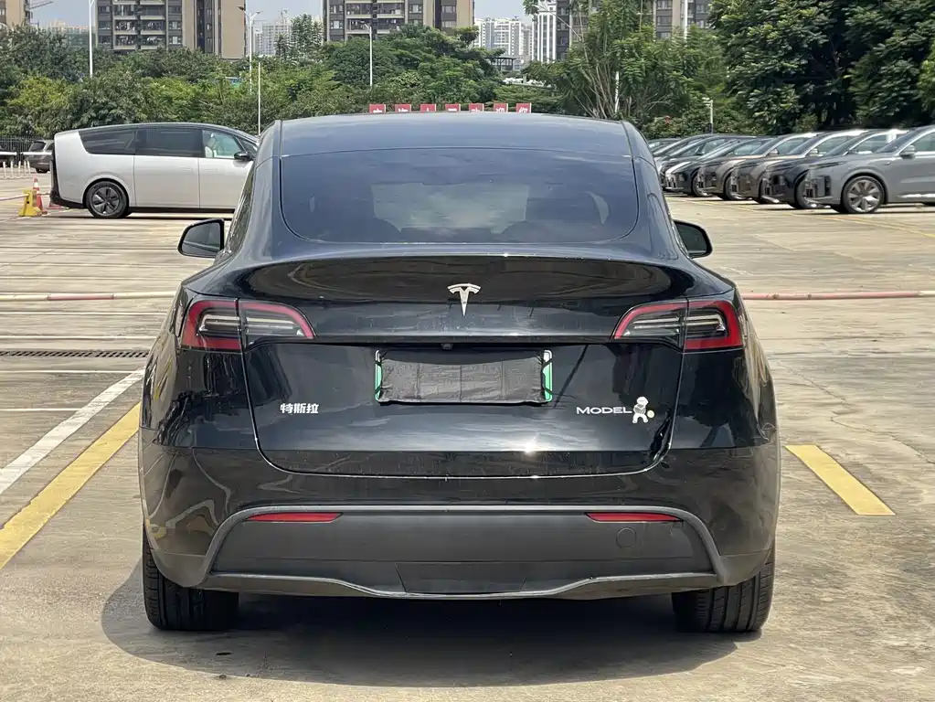 Tesla Model Y — фото 5