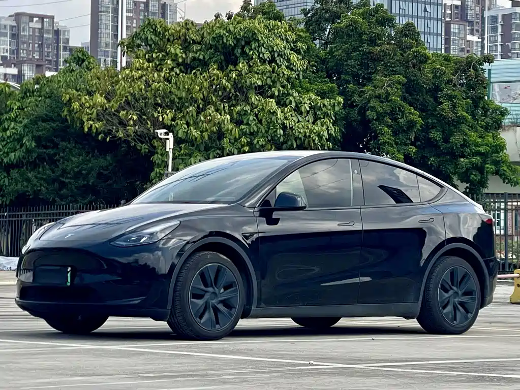 Tesla Model Y — фото 1