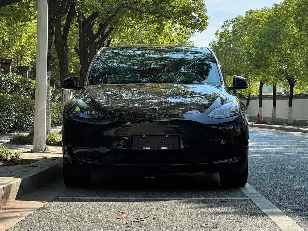 Tesla Model Y — фото 2