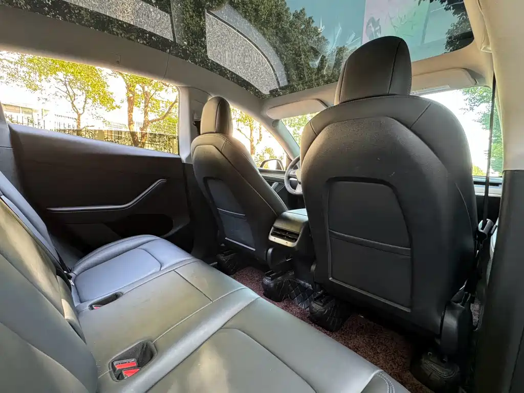 Tesla Model Y — фото 14