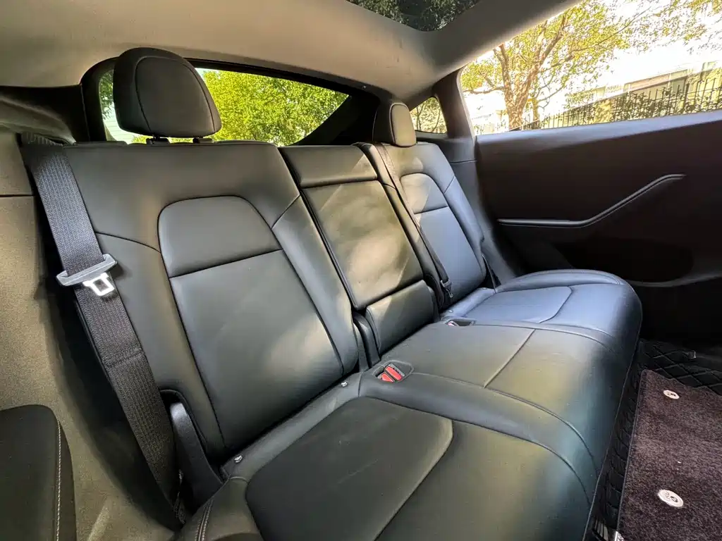 Tesla Model Y — фото 15