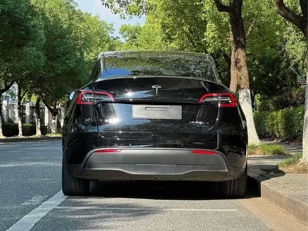 Tesla Model Y — фото 5
