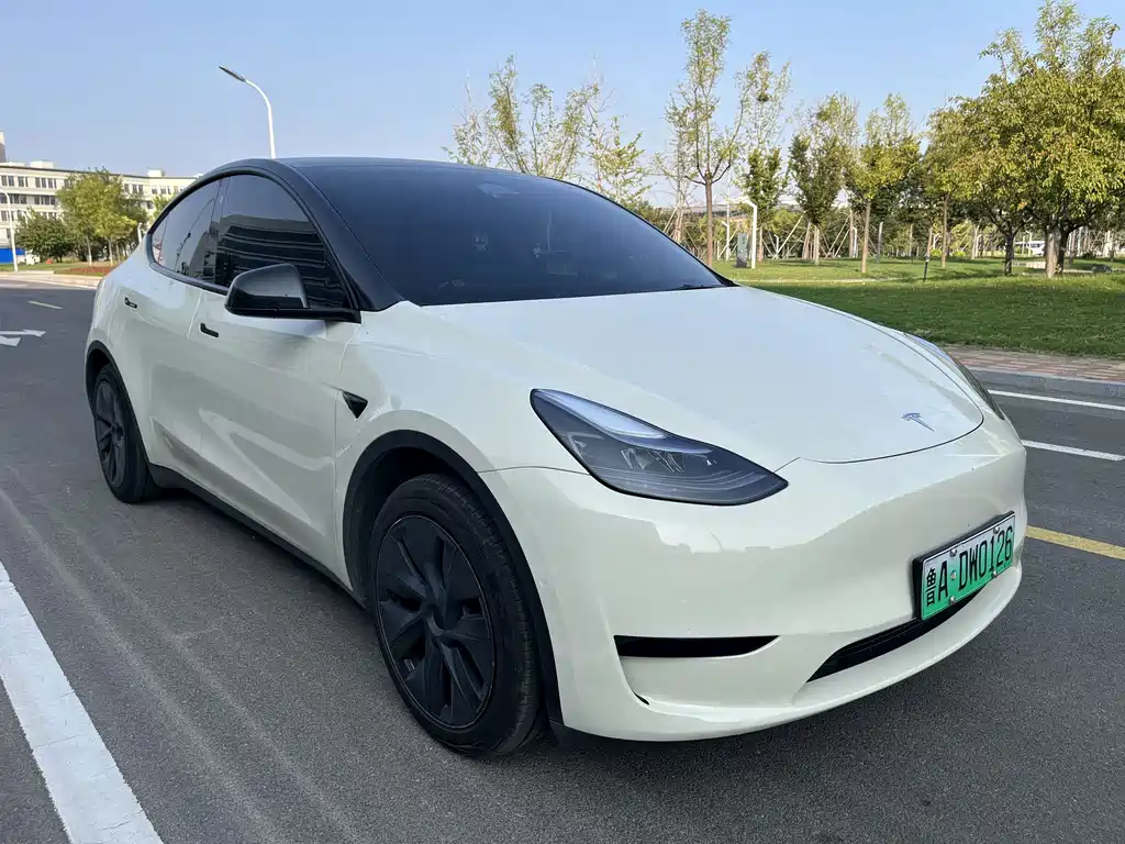 Tesla Model Y — фото 3