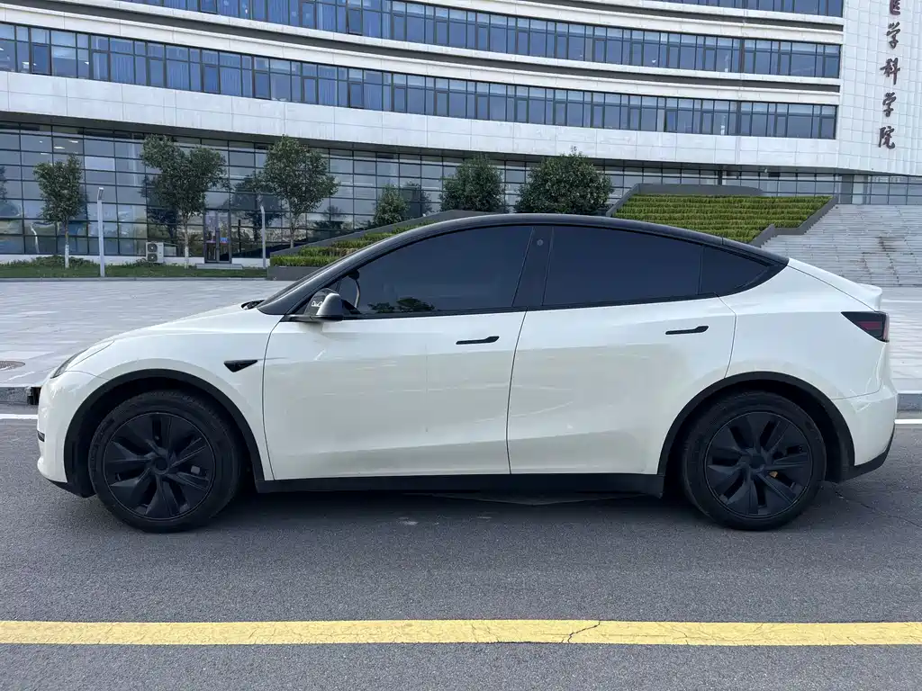 Tesla Model Y — фото 4