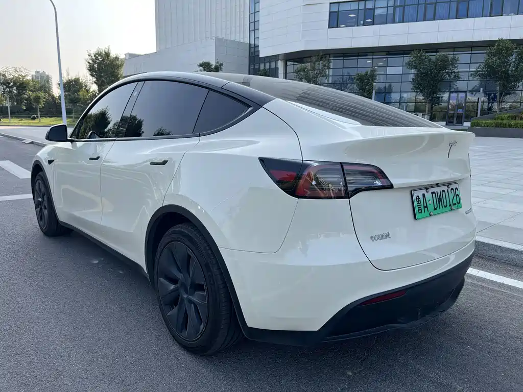 Tesla Model Y — фото 7