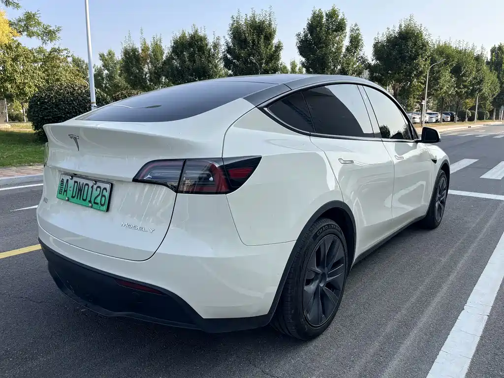 Tesla Model Y — фото 9