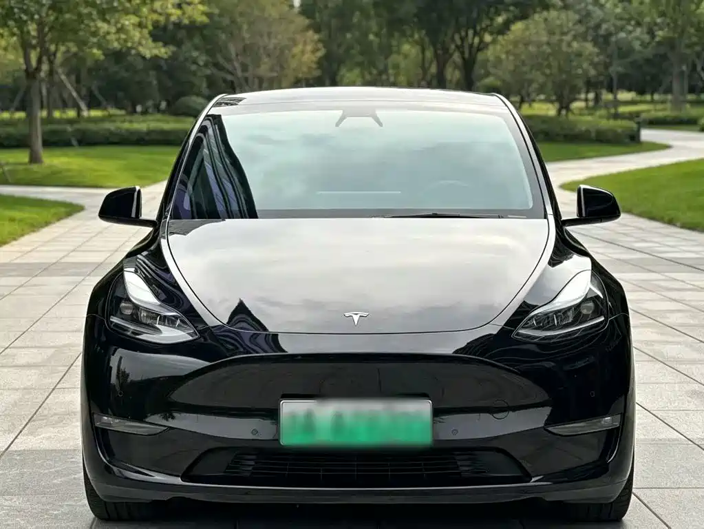 Tesla Model Y — фото 2