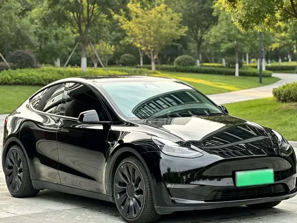 Tesla Model Y — фото 3