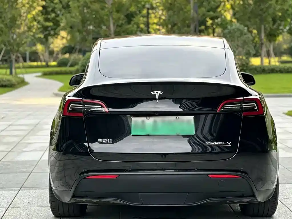 Tesla Model Y — фото 8