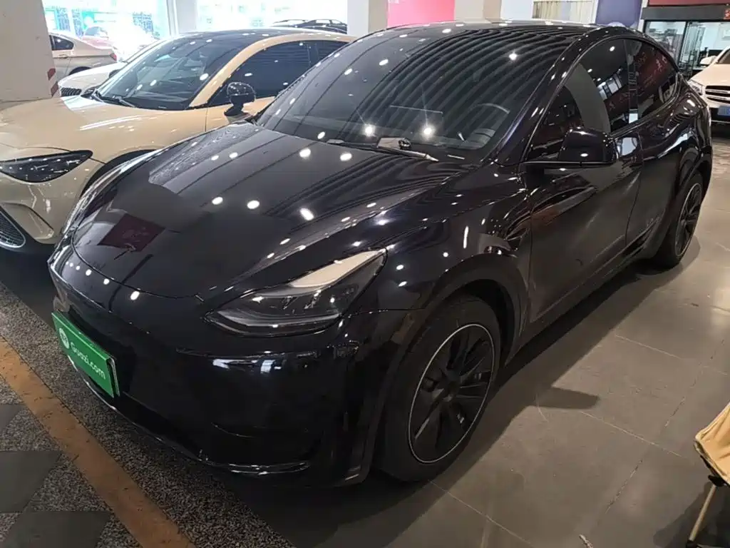 Tesla Model Y — фото 2